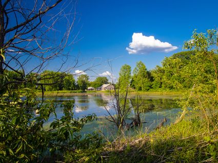 Decatur County, IN