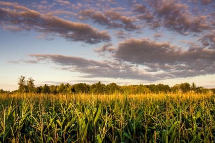 Arenac County, MI