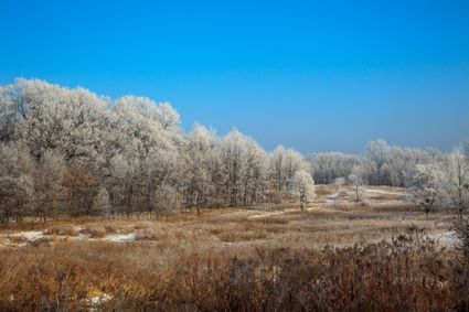 Kalamazoo County, MI