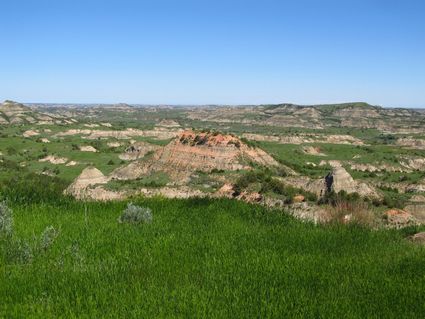 Bottineau County, ND