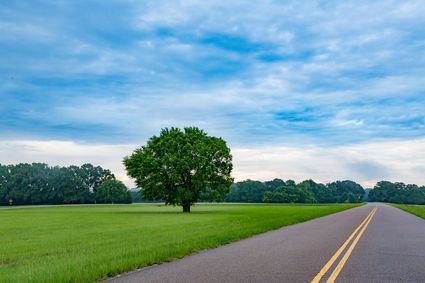 South Region--George, Hancock, Pearl River & Stone Counties PUMA, MS