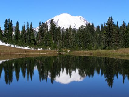 Island & San Juan Counties PUMA, WA